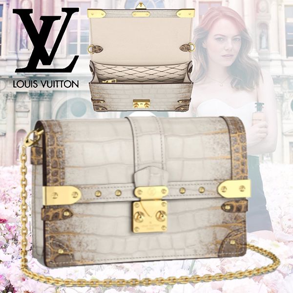 【希少】ルイヴィトン ポルトフォイユトランク チェーンコピーN98997